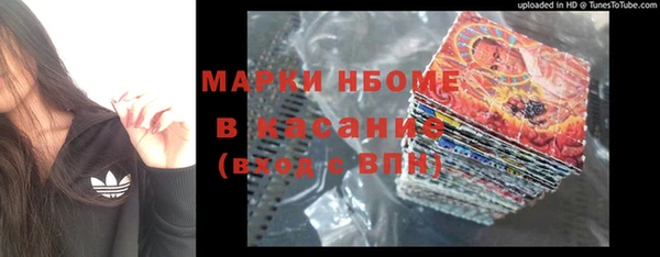 прущие грибы Алзамай