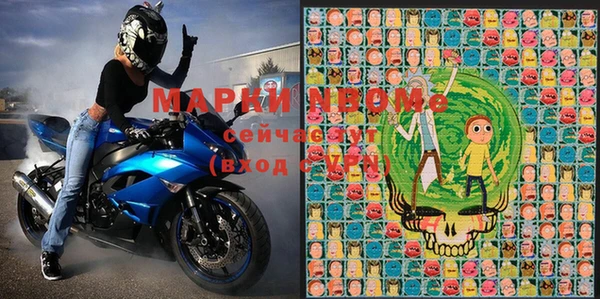 прущие грибы Алзамай
