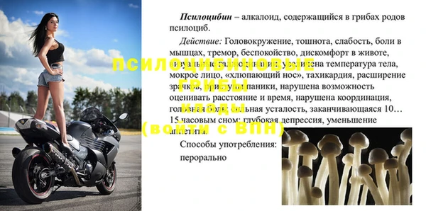 прущие грибы Алзамай