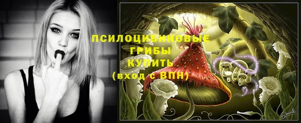 тгк Алексеевка