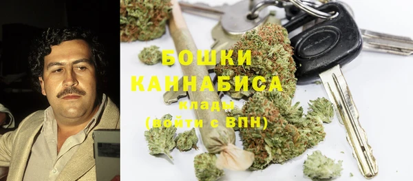 прущие грибы Алзамай