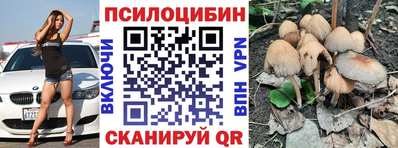 сколько стоит  Анива  Галлюциногенные грибы Psilocybe 